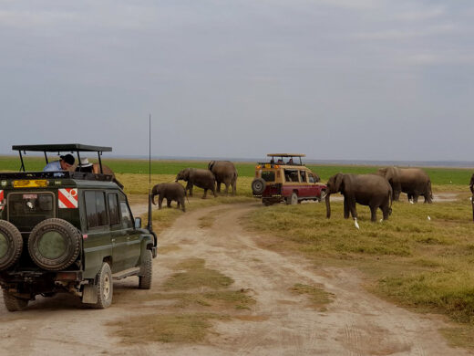 Amboseli