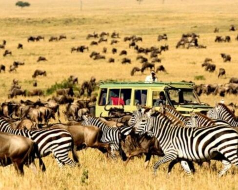 Maasai Mara